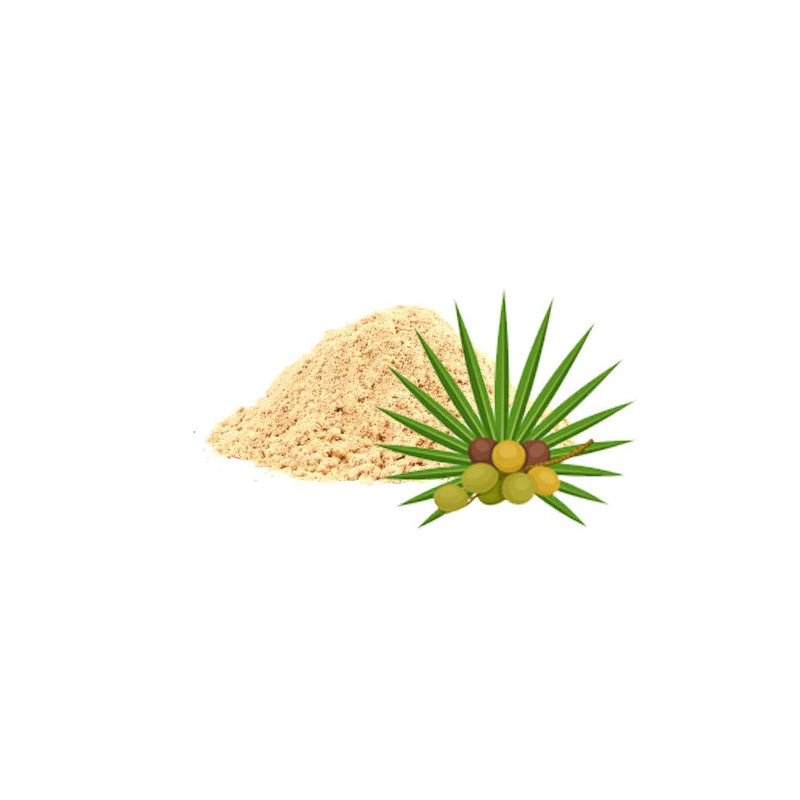 Saw Palmetto Extract (Serenoa Repens)