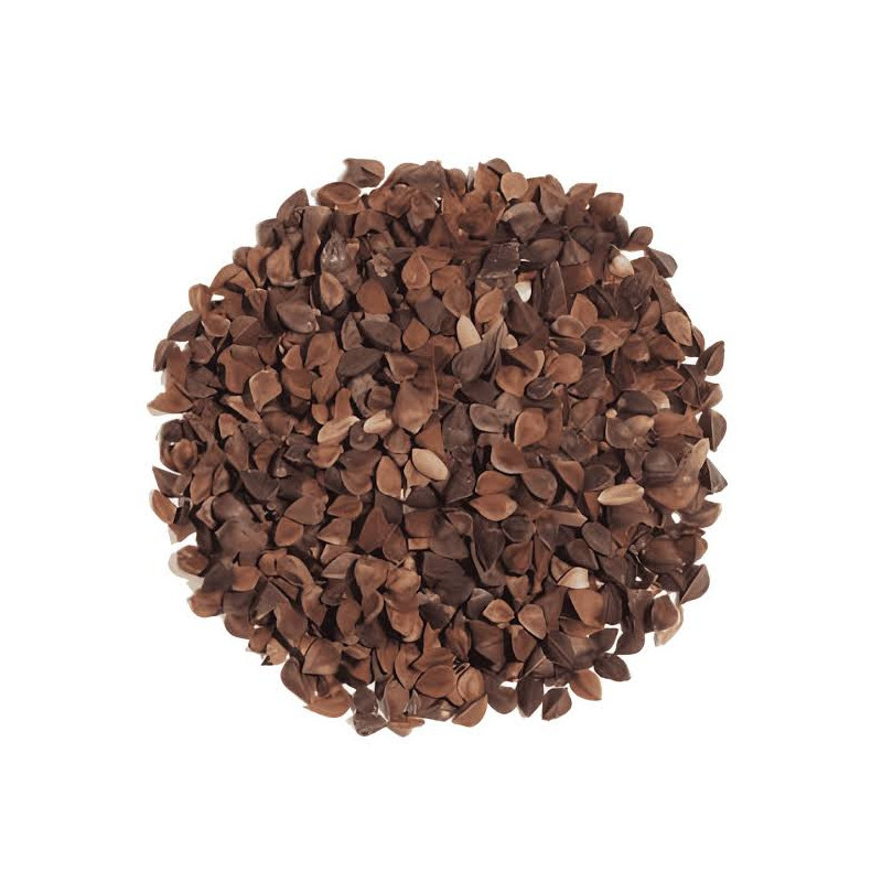 Buy Buckwheat Seeds in Pakistan – Gluten-Free & Natural – Hafiz Pansar Buy Buckwheat Seeds in Pakistan – Gluten-Free & Natural – Hafiz Pansar