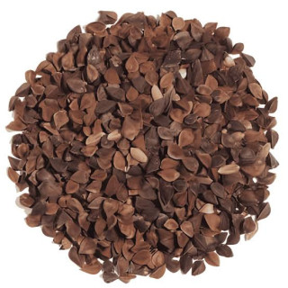 Buy Buckwheat Seeds in Pakistan – Gluten-Free & Natural – Hafiz Pansar