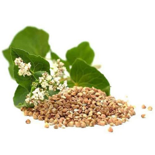 Buy Buckwheat Seeds in Pakistan – Gluten-Free & Natural – Hafiz Pansar