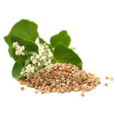 Buy Buckwheat Seeds in Pakistan – Gluten-Free & Natural – Hafiz Pansar