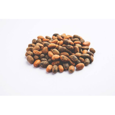 Croton Seeds (Jamalgota) –