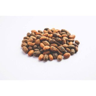Croton Seeds (Jamalgota) –