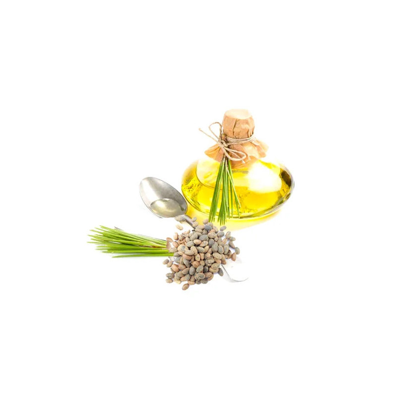 Croton Oil (Roghan e Jamalgota)