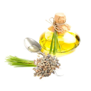 Croton Oil (Roghan e Jamalgota)