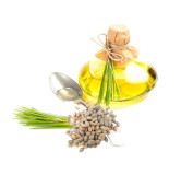 Croton Oil (Roghan e Jamalgota)