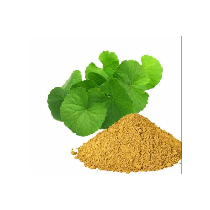 Bacopa Monnieri Extract (Barhami Extract)