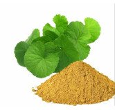 Bacopa Monnieri Extract (Barhami Extract)