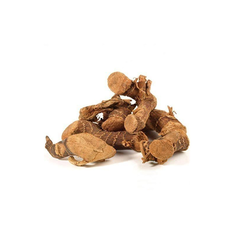 Galangal (Jarpan / Panjarh)