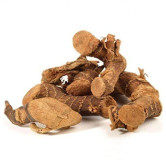 Galangal (Jarpan / Panjarh)
