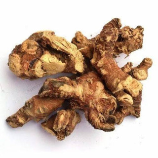 Galangal (Jarpan / Panjarh)