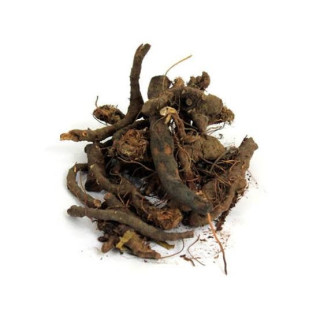 Alpine Bistort (Anjbar/Persicaria Viviparum)