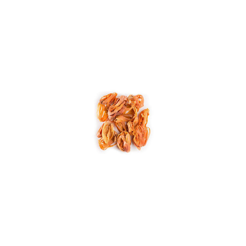 Mace (Jalwatri)
