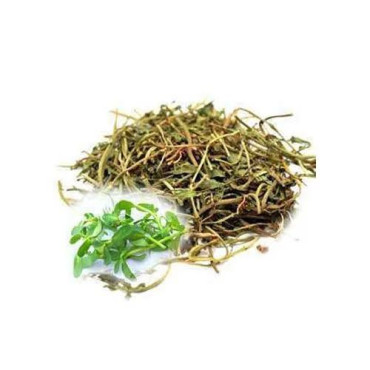 Herpes Monnieri (Jal Neem)