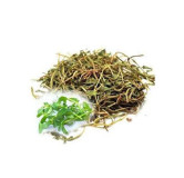 Herpes Monnieri (Jal Neem) – Brain Booster Herb | Hafiz Pansar Pakistan