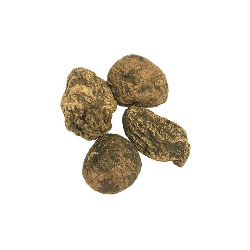 Black Chebulic Myrobalan (Jalaba Hareer)