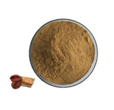 Terminalia Arjuna Extract in Pakistan – Heart Support | Hafiz Pansar