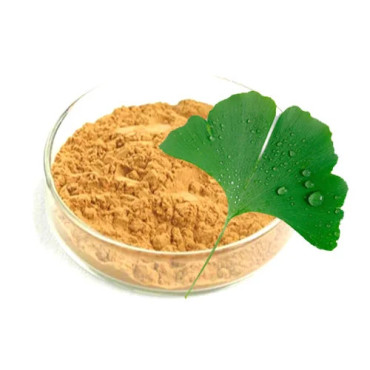 Buy Ginkgo Biloba Extract in Pakistan – Memory & Brain Booster | Hafiz Pansar