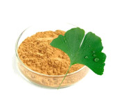 Buy Ginkgo Biloba Extract in Pakistan – Memory & Brain Booster | Hafiz Pansar