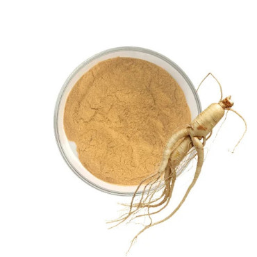 Buy Ginkgo Ginseng Extract in Pakistan – Memory & Energy Booster – Hafiz Pansar