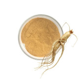 Buy Ginkgo Ginseng Extract in Pakistan – Memory & Energy Booster – Hafiz Pansar