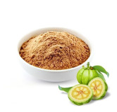 Buy Garcinia Cambogia Extract in Pakistan – 100% Herbal | Hafiz Pansar