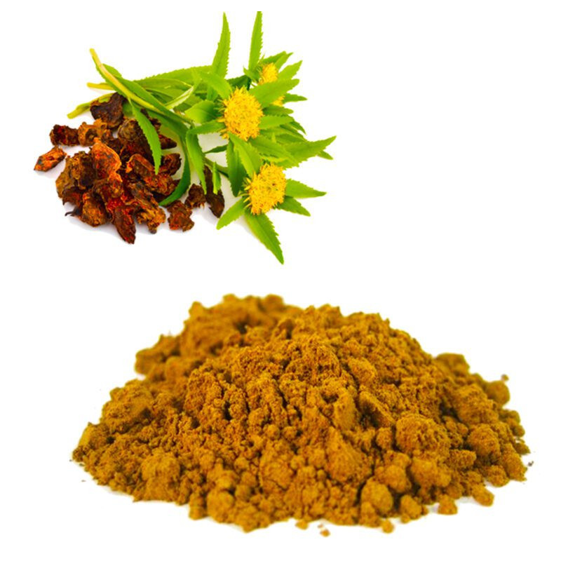 Rhodiola Rosea in Pakistan – Natural Energy & Stress Relief | Hafiz Pansar