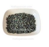 Buy Pistacia Atlantica (Habbul Khizra) - Mastic Seeds in Pakistan | Hafiz Pansar