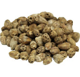 Gundelia Seeds (Sissi/Habbul Zulam)