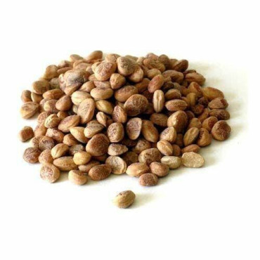 Charoli nuts (Charwanji)