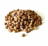 Charoli nuts (Charwanji)