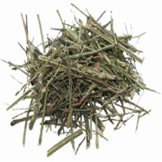 Chiretta (Charaita/Andrographis Paniculata)