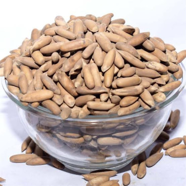 Buy Chilgoza Online in Pakistan – Premium Pine Nuts | Hafiz Pansar