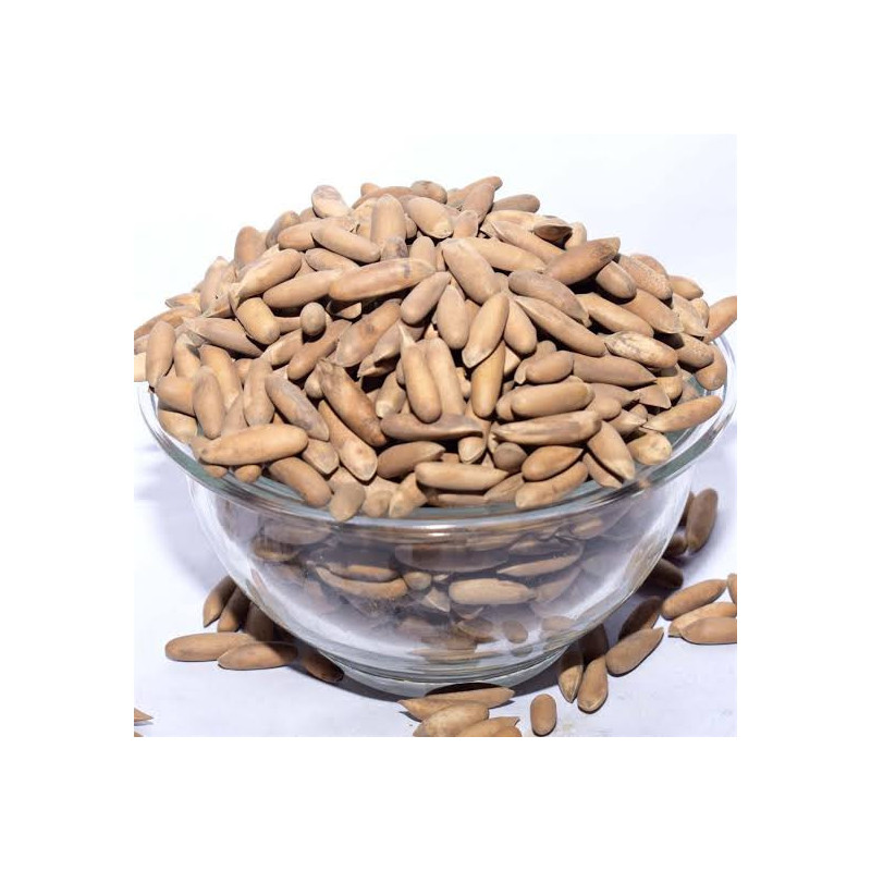 Buy Chilgoza Online in Pakistan – Premium Pine Nuts | Hafiz Pansar