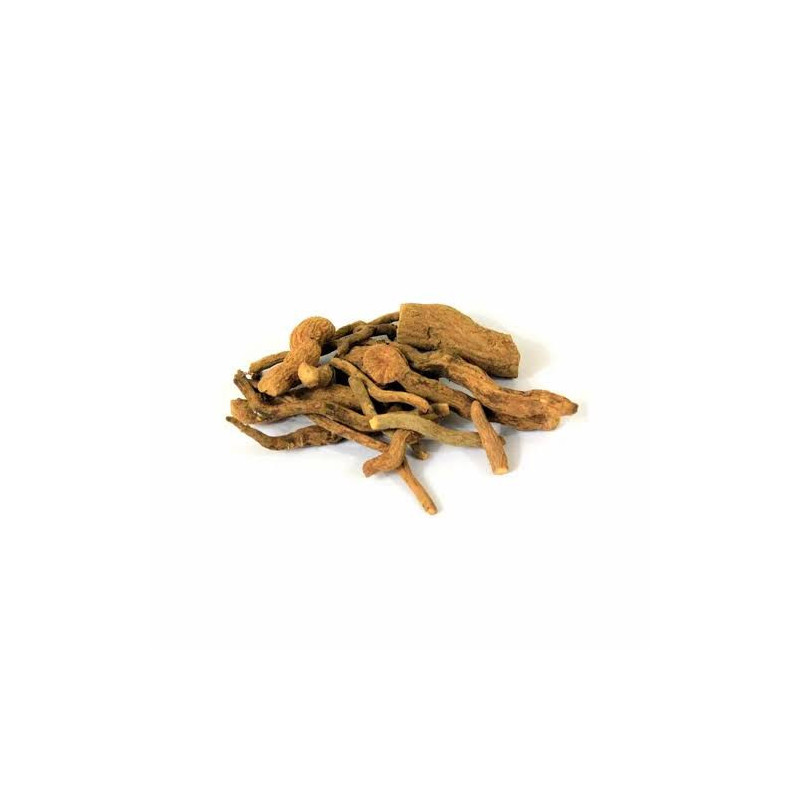 Rauvolfia Serpentina/Indian Snake Root(Chandan Booti/Asrol)