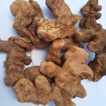 China Root (Smilax China/Chob Chini)