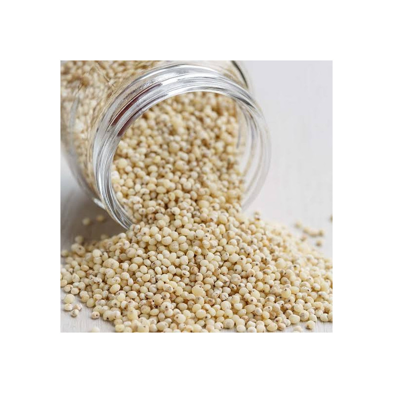 Buy Poppy Seeds (Khaskhash) Online in Pakistan – Hafiz Pansar Buy Poppy Seeds (Khaskhash) Online in Pakistan – Hafiz Pansar