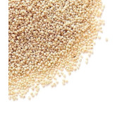 Buy Poppy Seeds (Khaskhash) Online in Pakistan – Hafiz Pansar