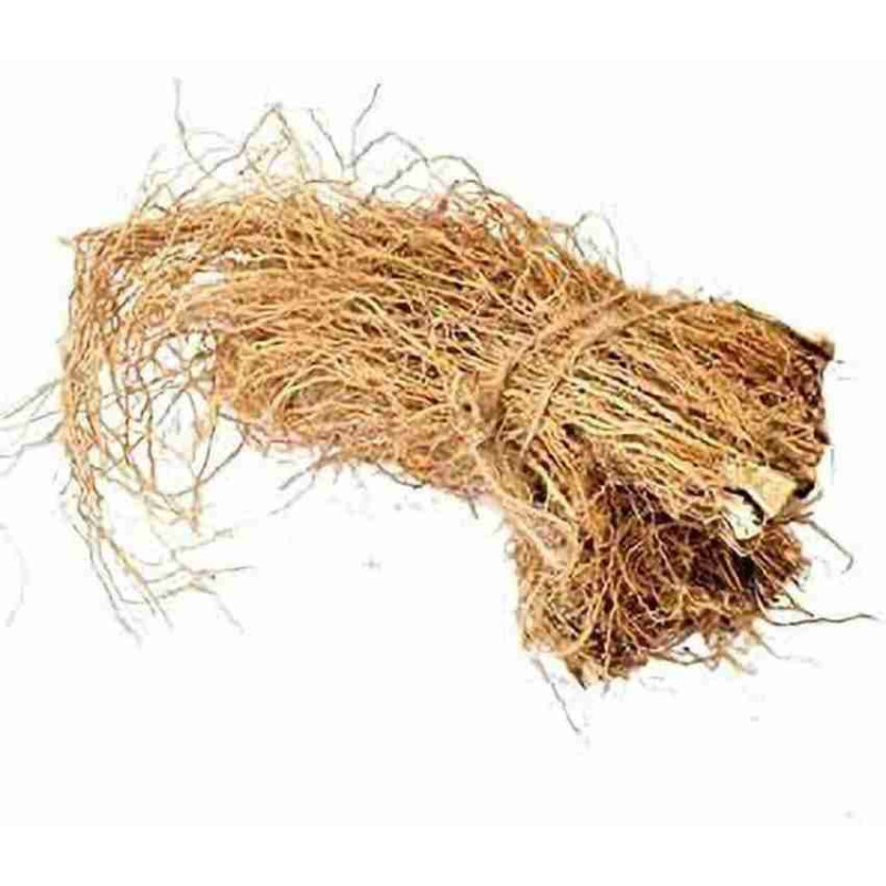 Buy Vetiver Root (Khas) Online in Pakistan – Hafiz Pansar Buy Vetiver Root (Khas) Online in Pakistan – Hafiz Pansar