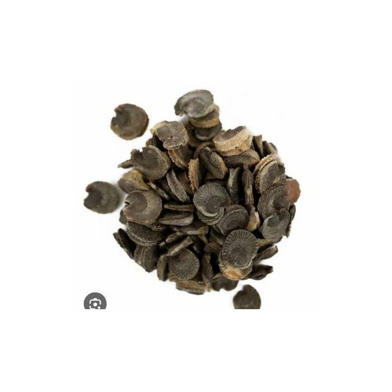 Marshmallow (Khatmi/Althaea Officinalis)