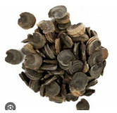 Marshmallow (Khatmi/Althaea Officinalis)