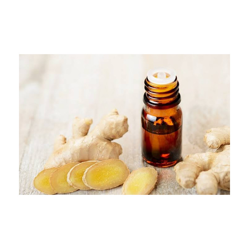 Buy Ginger Oil (Adrak Til) in Pakistan – Hafiz Pansar