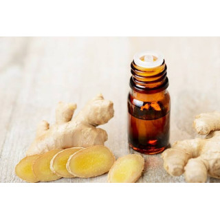 Buy Ginger Oil (Adrak Til) in Pakistan – Hafiz Pansar