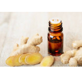 Buy Ginger Oil (Adrak Til) in Pakistan – Hafiz Pansar