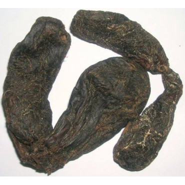 Buy Castoreum (Jund Badastar) in Pakistan – Hafiz Pansar