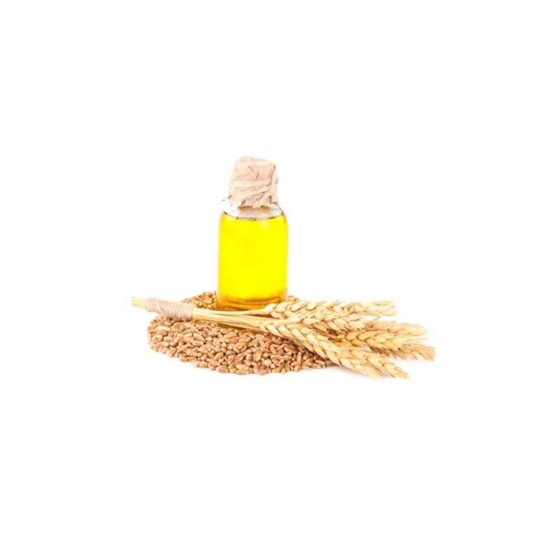 Buy Wheat Germ Oil in Pakistan – 100% Pure | Hafiz Pansar