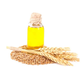 Buy Wheat Germ Oil in Pakistan – 100% Pure | Hafiz Pansar
