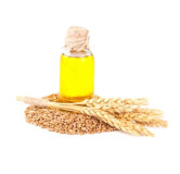 Buy Wheat Germ Oil in Pakistan – 100% Pure | Hafiz Pansar