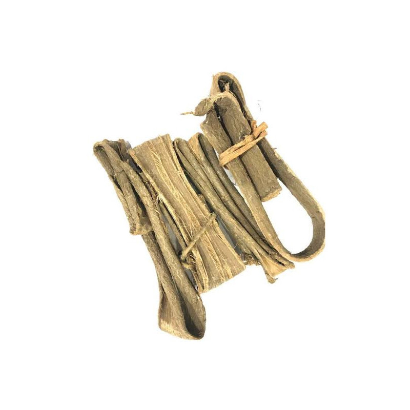 Walnut Tree Bark (Dandasa/Juglans Regia)