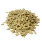 Pumpkin Seeds (Magaz Kadu)